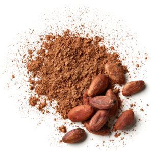 Alkalized Cocoa Powder 10/12 — Medium Fat