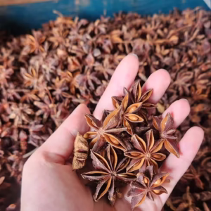 Star Anise Whole/ Cut/ Powder/ Cracked