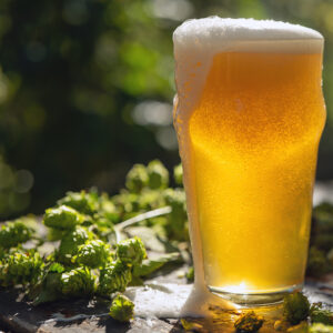 Beer aroma