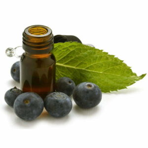 Berry seed oil