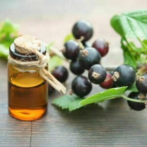 Black Currant Seed Oil