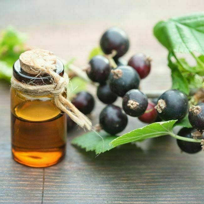 Black Currant Seed Oil