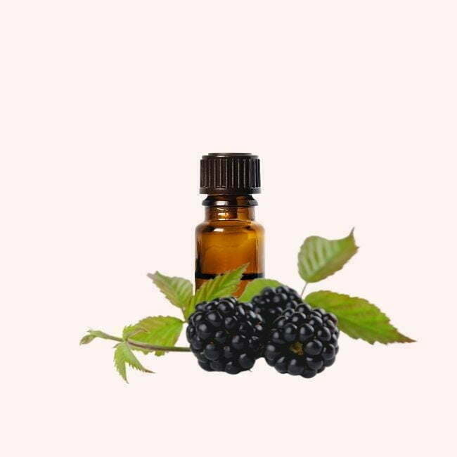 Blackberry seed oil