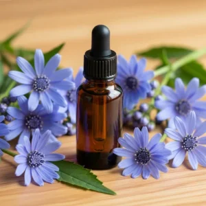 Blue Tansy Oil