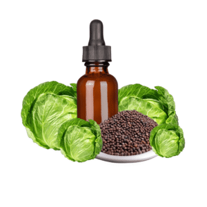 Cabbage seed oil