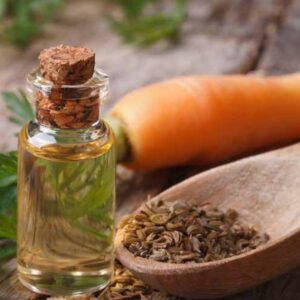 Carrot seed oil