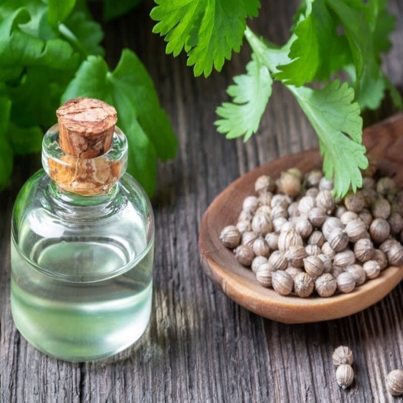 Coriander seed oil