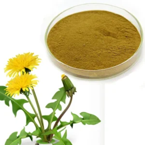 Dandelion Whole/ Cut/ Powder/ Extract