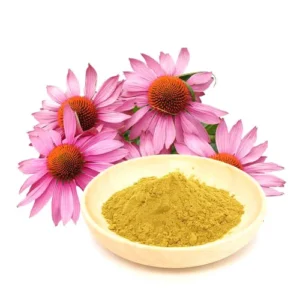 Echinacea Whole/ Cut/ Powder/ Extract