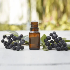 Elderberry seed oil