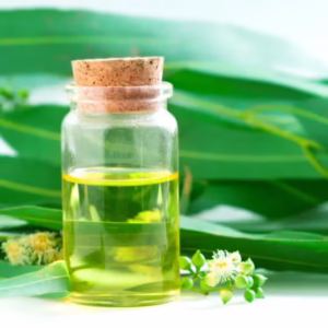Eucalyptus oil