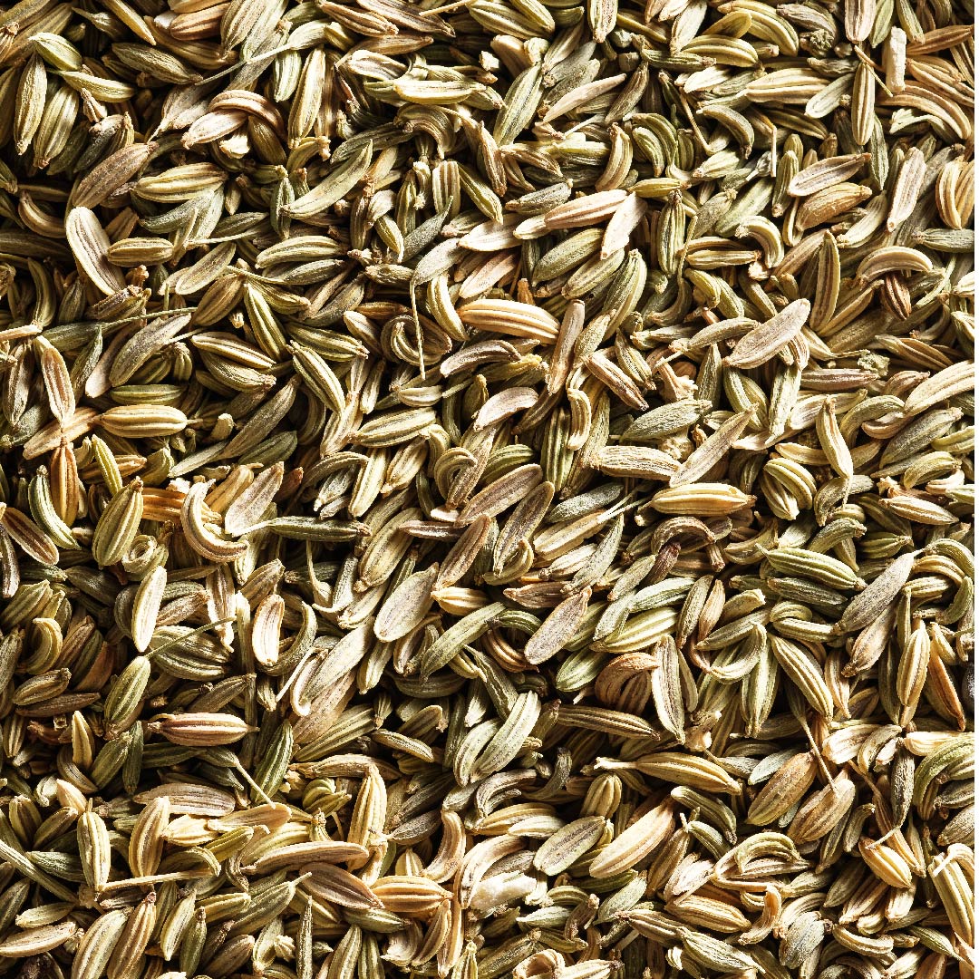 Fennel Seed Extract