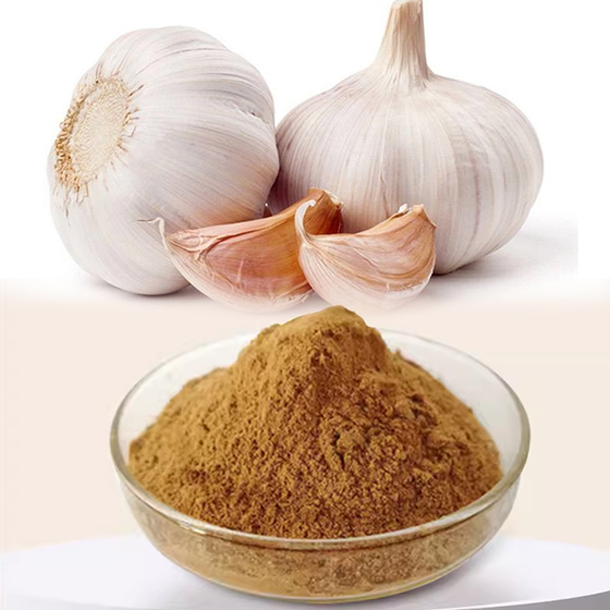 Garlic Powder/ Extract