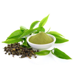 Green Tea Extract
