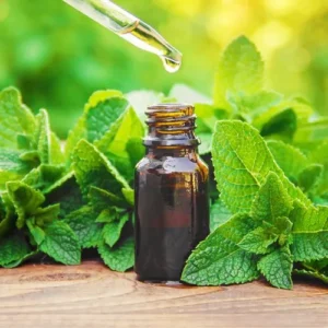 Green mint oil