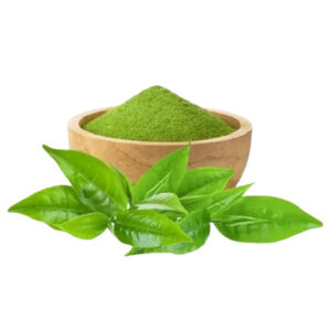 Instant Green Tea Extract