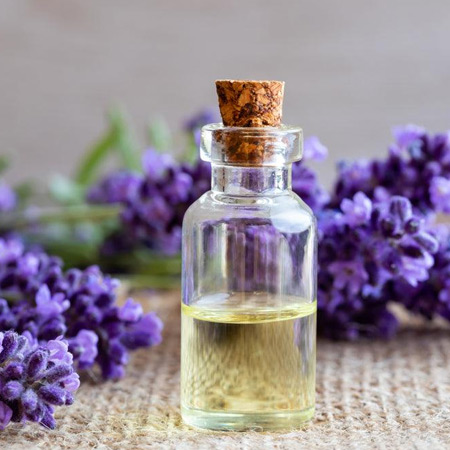 Lavender oil