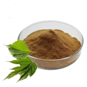 Mulberry Leaf Extract