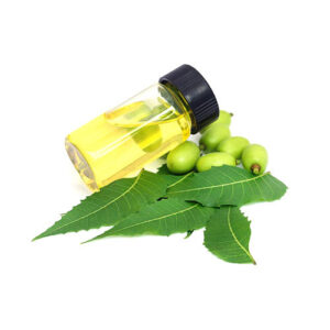 Neem seed oil