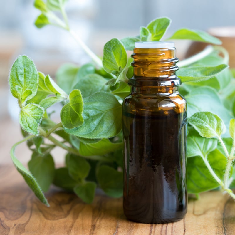 Oil of oregano