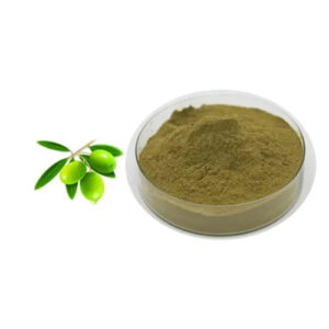 Olive Leaf Extract Powder