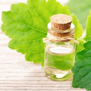Patchouli oil
