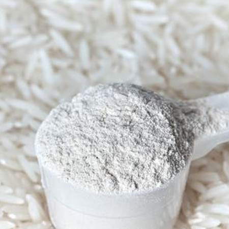 Rice protein
