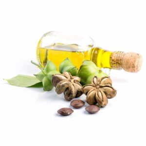 Sacha Inchi Oil