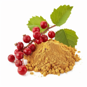 Schisandra Extract
