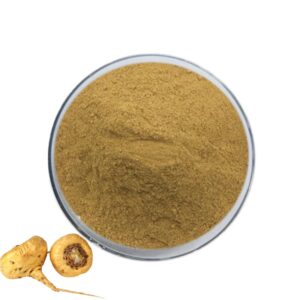Maca Powder/ Extract