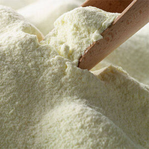 Sweet Whey Powder