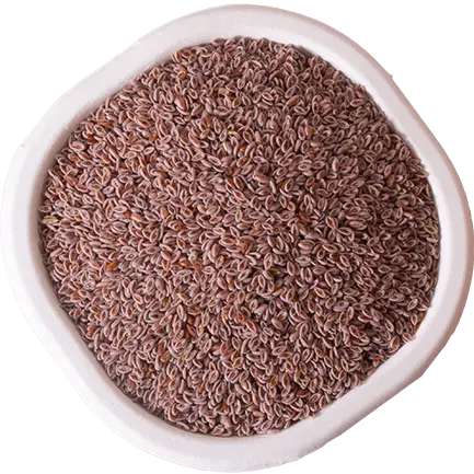 Psyllium Seeds