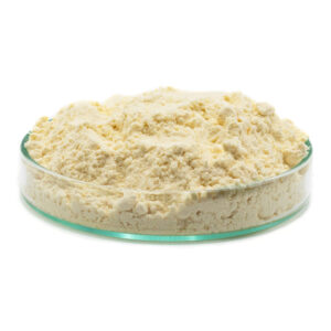 Soy Lecithin Powder