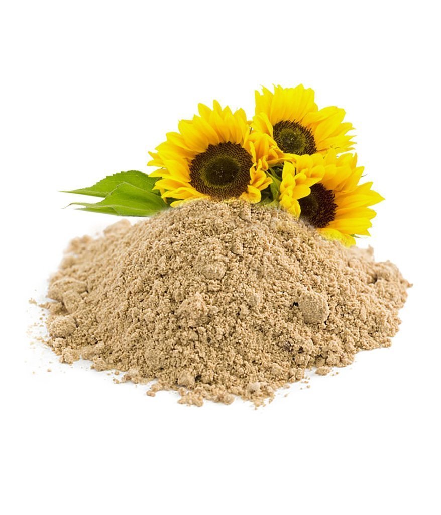 Sunflower Lecithin Powder