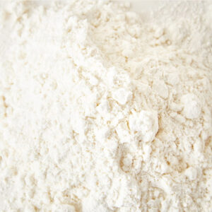Whey Protein Isolate 90 (WPI 90)